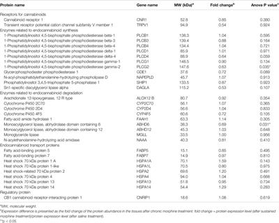 The Effects of Repeated Morphine Treatment on the Endogenous Cannabinoid System in the Ventral Tegmental Area